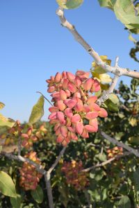 2022_08_24_16_24_IMG_8359