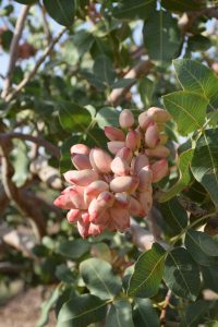 2023_09_17_07_41_IMG_6160