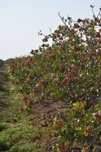 2023_09_17_07_47_IMG_6172