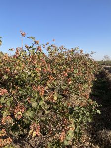 2023_09_18_16_07_IMG_6195