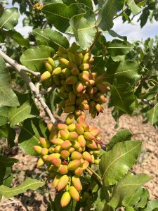 2024_03_19_09_48_IMG_8353